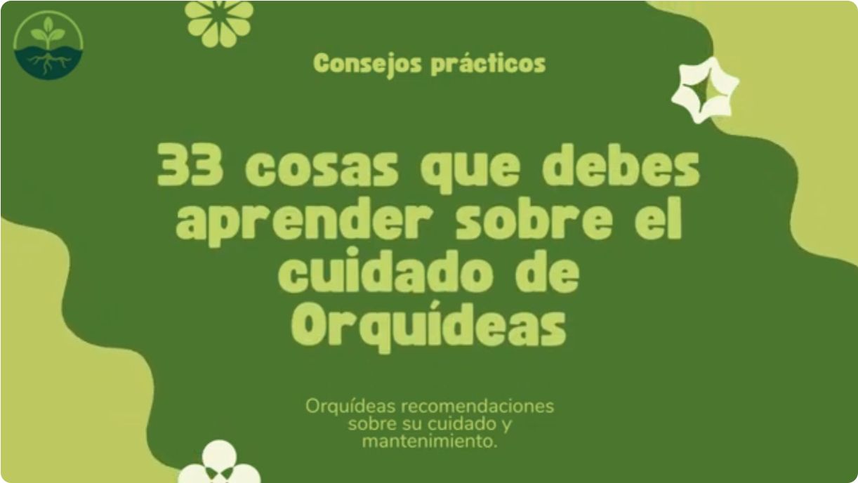 33 Cosas que debes aprender sobre Orquideas -www.gadesplant.com - Orquideas y Terrarios Plantados