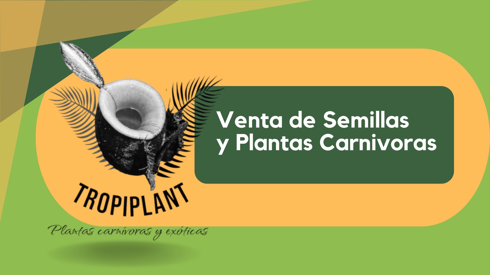 TropiPlant - Semillas y plantas carnívoras y exóticas -www.gadesplant.com - Orquídeas y Terrarios Plantados