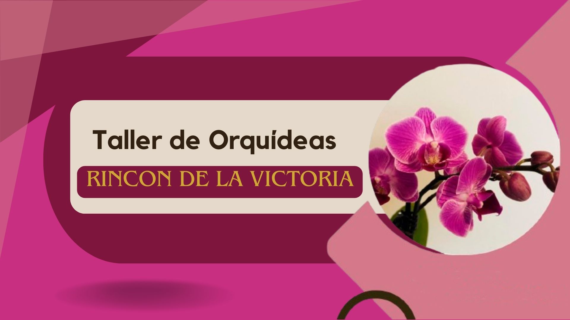 Taller de Orquídeas - Rincon de la Victoria -www.gadesplant.com - Orquídeas y Terrarios Plantados