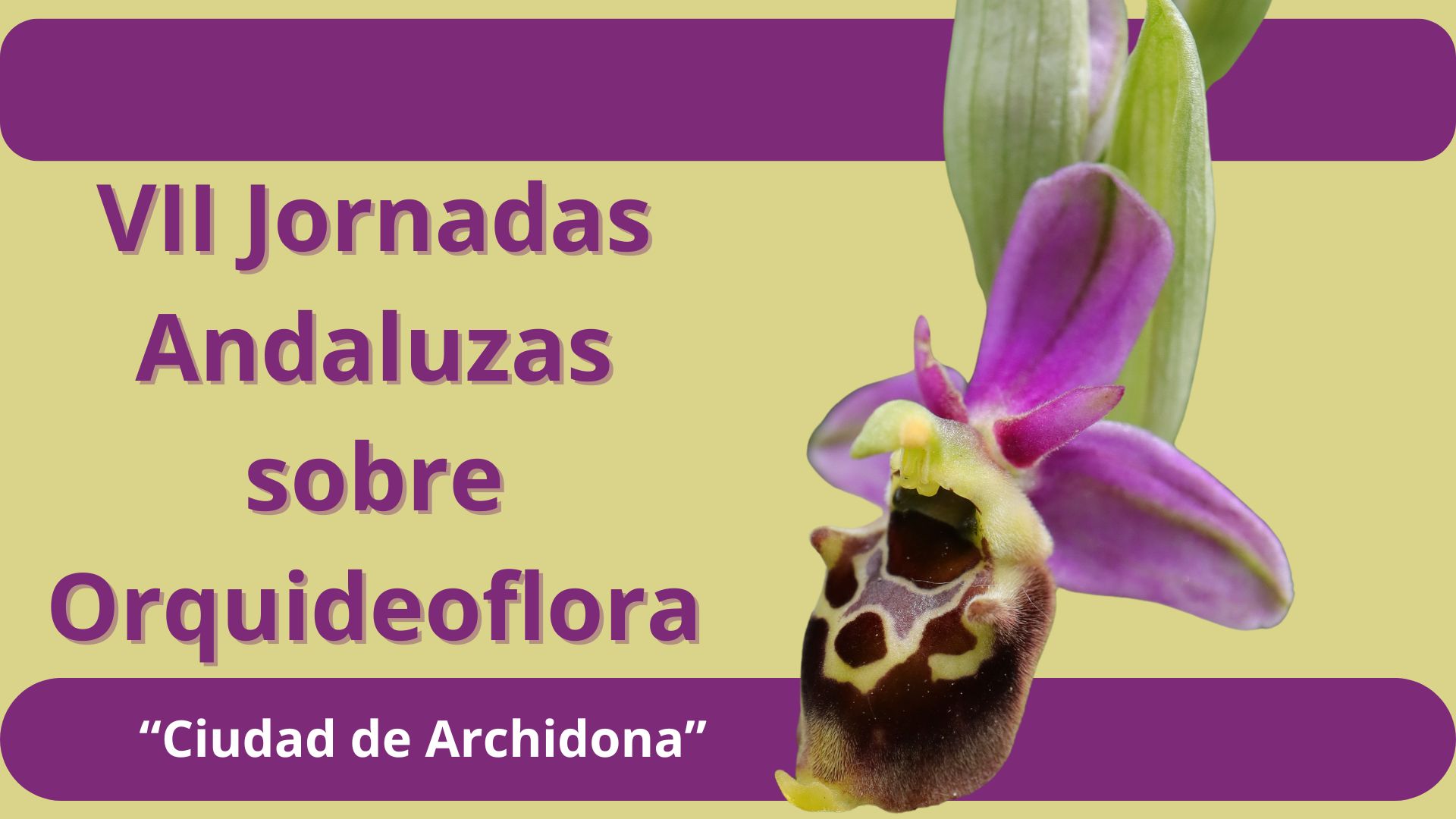 VII Jornadas Andaluzas sobre Orquídeoflora - Ciudad de Archidona www.gadesplant.com - Orquídeas y Terrarios Plantados
