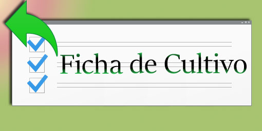 Fichas de Cultivo - Orquídeas - www.gadesplant.com - Orquídeas y Terrarios Plantados