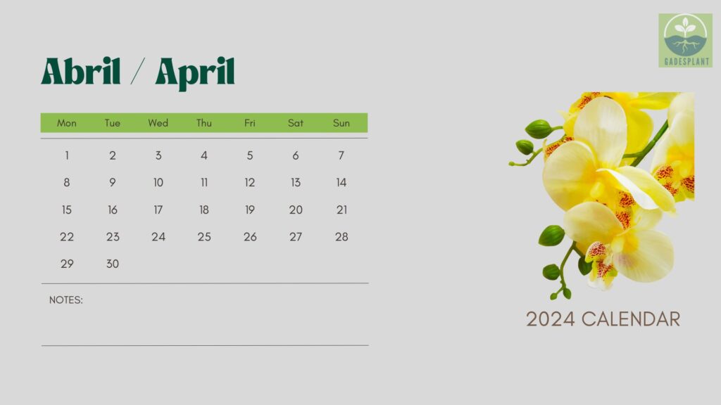 Calendario Gadesplant - www.gadesplant.com - Orquídeas y Terrarios Plantados