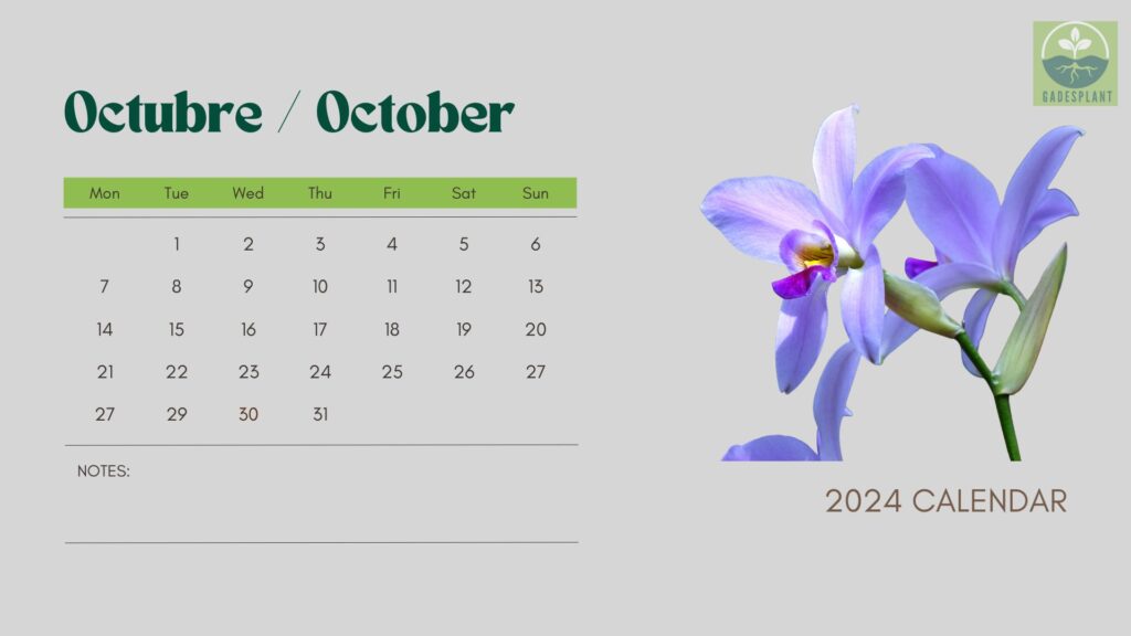 Calendario Gadesplant - www.gadesplant.com - Orquídeas y Terrarios Plantados