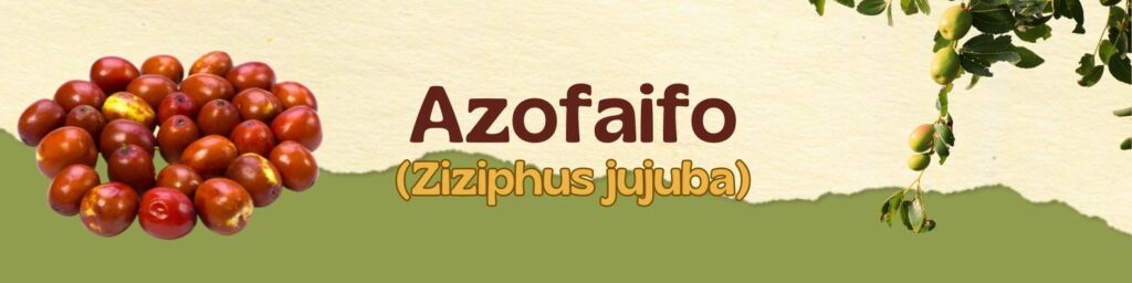Azufaifo y Acerola - Guía completa - www.gadesplant.com - Orquídeas y Terrarios Plantados