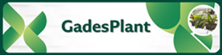 Cultivo de Orquideas Terrestres - Guía completa - www.gadesplant.com - Orquídeas y Terrarios Plantados