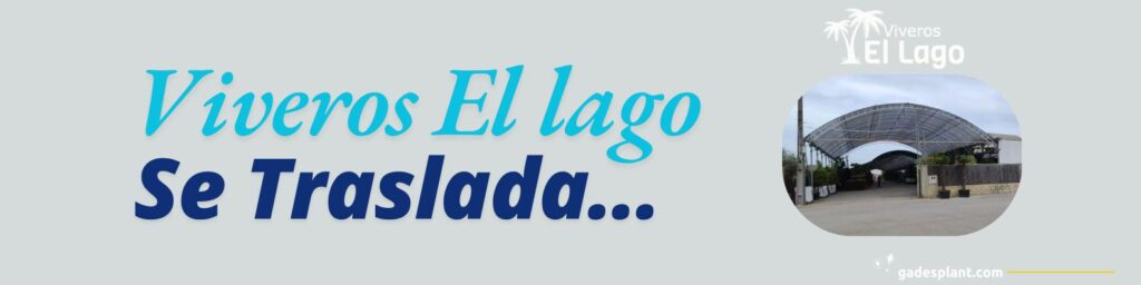 Viveros El lago - www.gadesplant.com - Orquídeas y Terrarios Plantados
