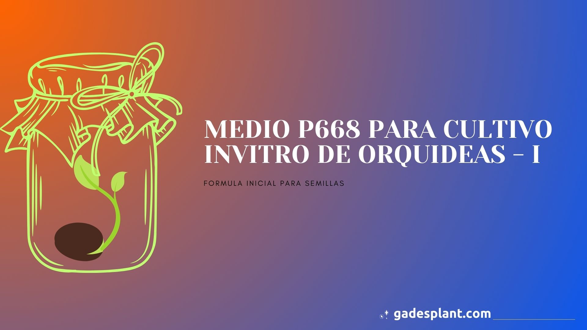 Medio de cultivo P668 para semillas - Orquídeas y Terrarios Plantados